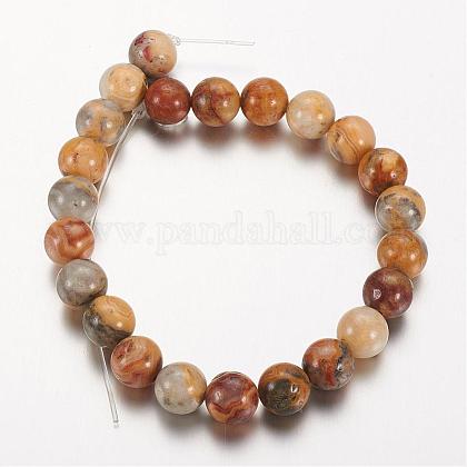 Ronde 8 - Agate folle naturelle couleur mixte (10 pces)