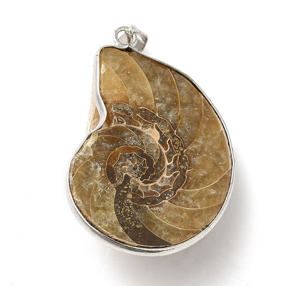 Pendentif fossile Escargot - Kaki foncé (1pce)