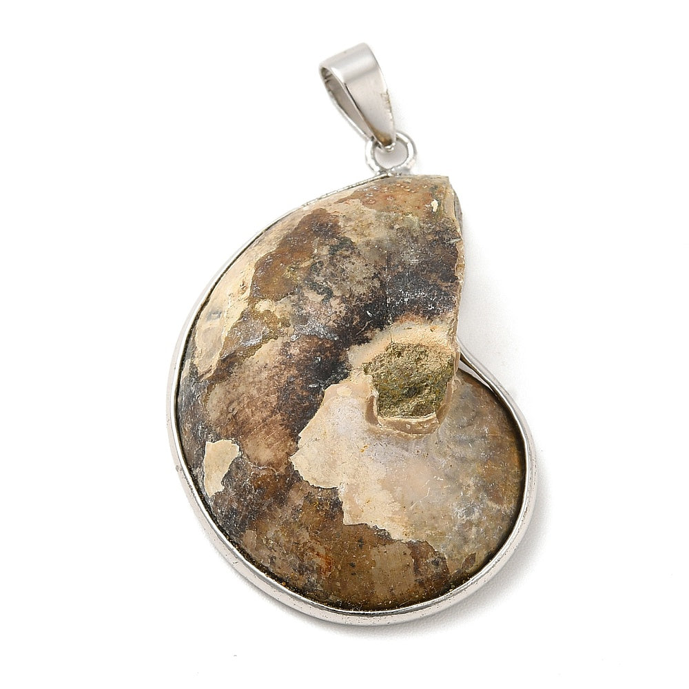 Pendentif fossile Escargot - Kaki foncé (1pce)