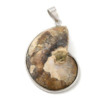 Pendentif fossile Escargot - Kaki foncé (1pce)