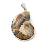 Pendentif fossile Escargot  50X25mm - Kaki foncé (1pce)
