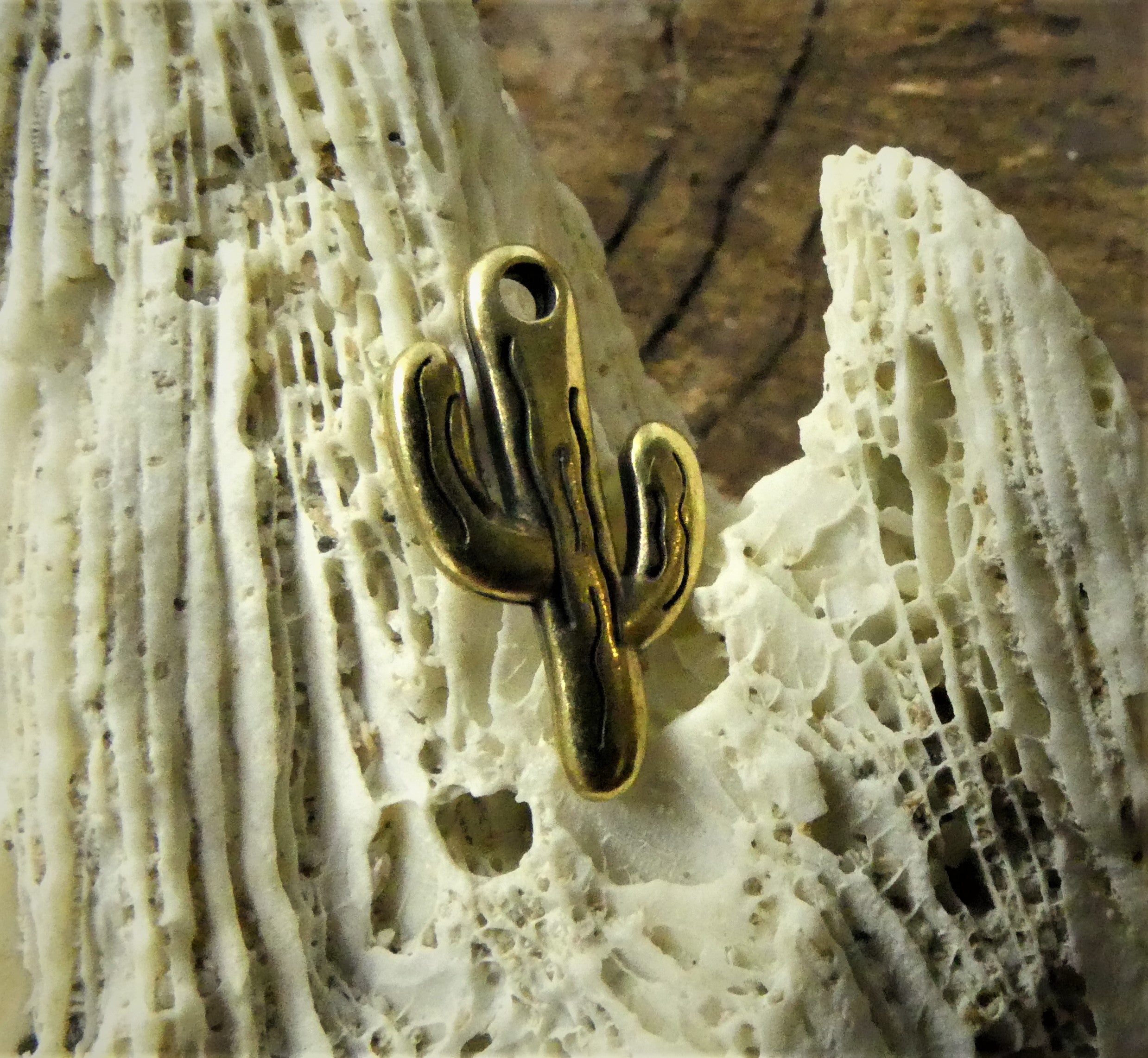 Charms - Cactus (1 pce)