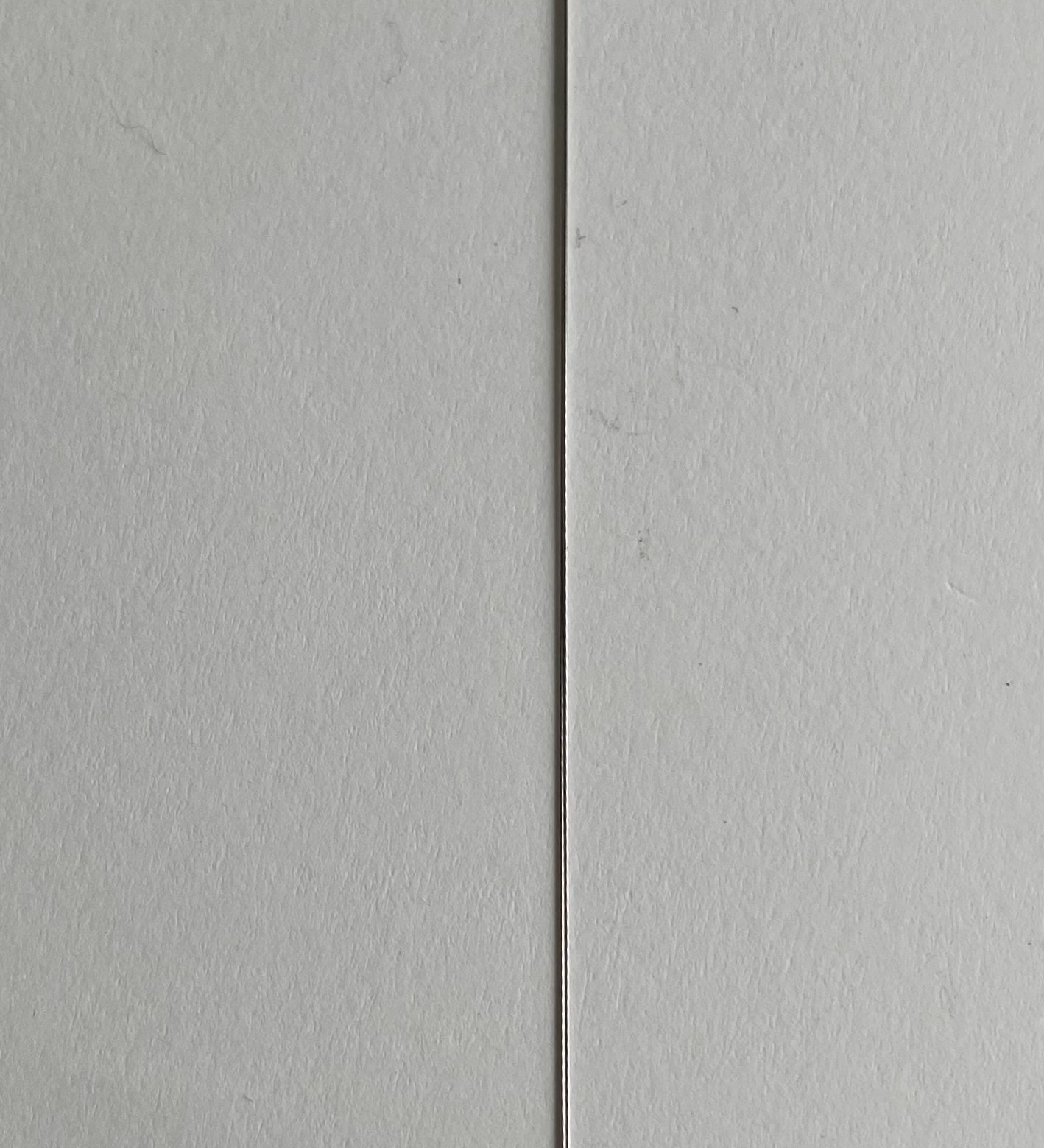 Aiguille Gros œil (1 pces)