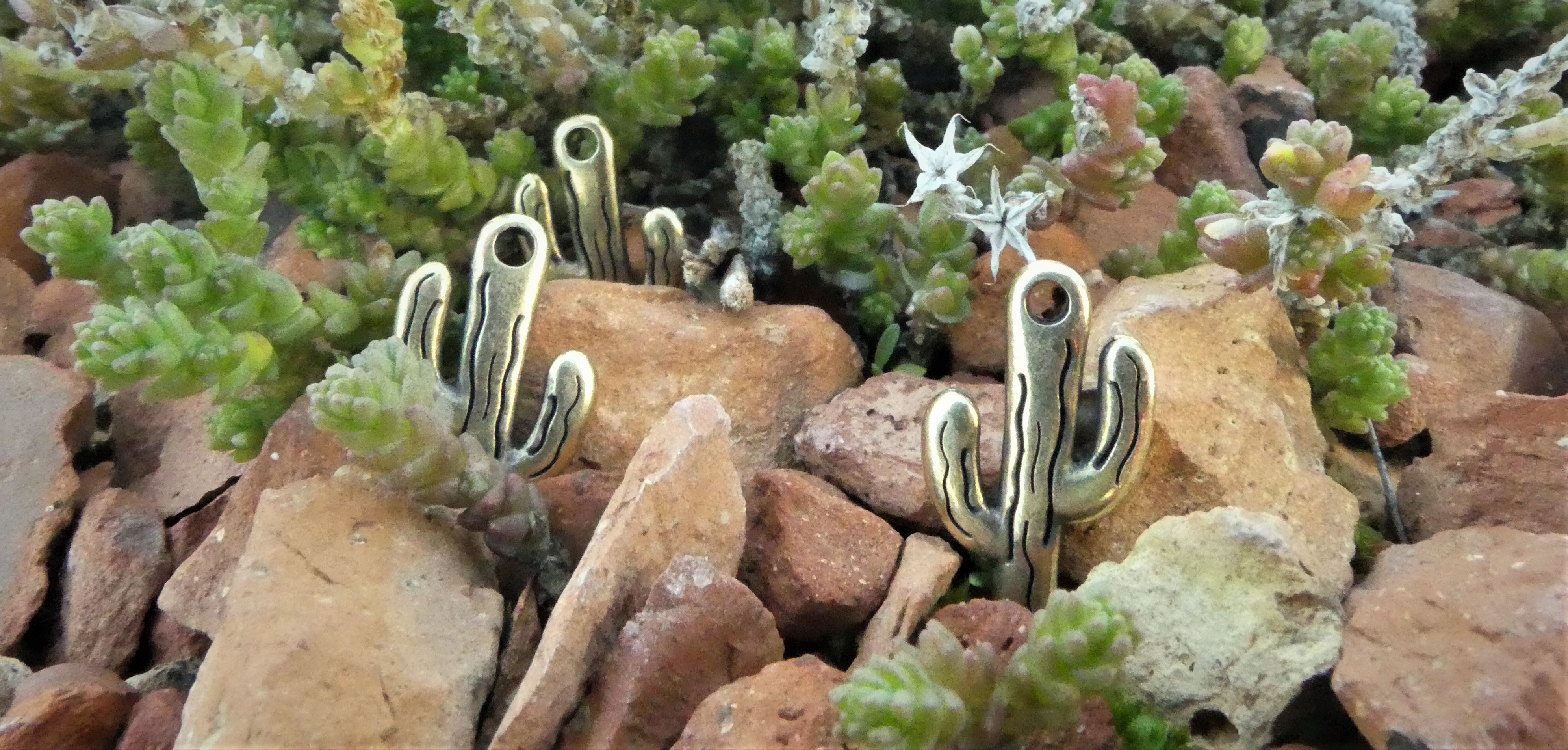 Charms - Cactus (1 pce)