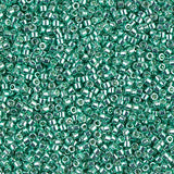 Delica 11 - Menthe foncée vert galvanisée (4g)