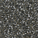 Delica 10 - Perle de verre - Argenté (4 g)