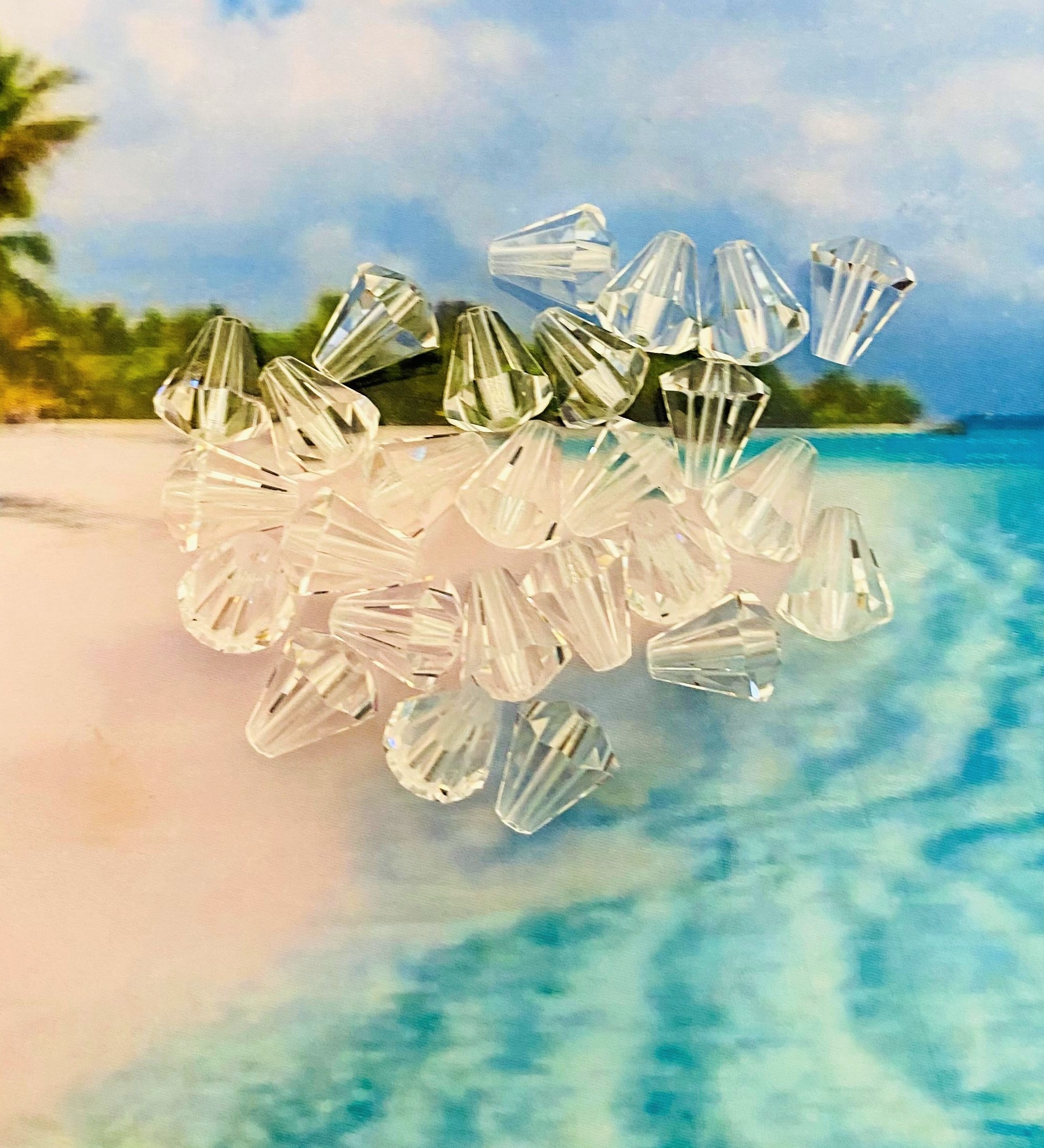 Tulipe - Crystal (5 pces)