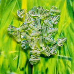 Tulipe - Crystal (5 pces)