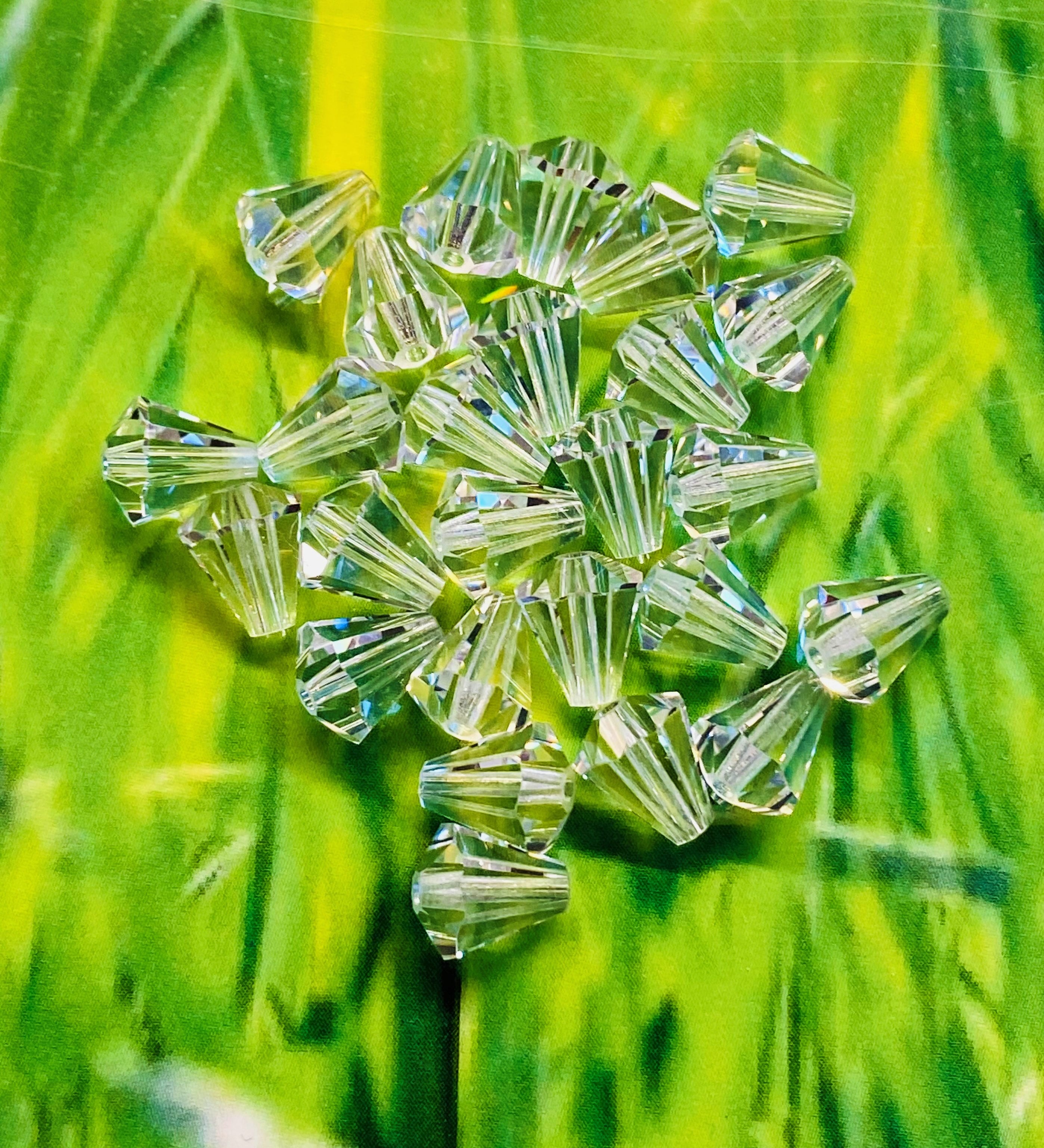 Tulipe - Crystal (5 pces)