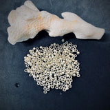 Delica 11 - Argent galvanisé duracoat (4 g)