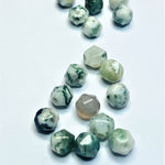 Perles d'agate d'arbre naturel, taillées à facettes - (10 pces)