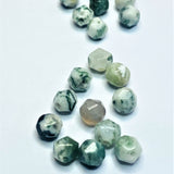 Perles d'agate d'arbre naturel, taillées à facettes - (10 pces)