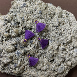 Mini pompon Violet (1 pce)