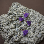 Mini pompon Violet (1 pce)