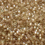 Delica 11 - Céleri Rosé étincelant AB (4 g) 