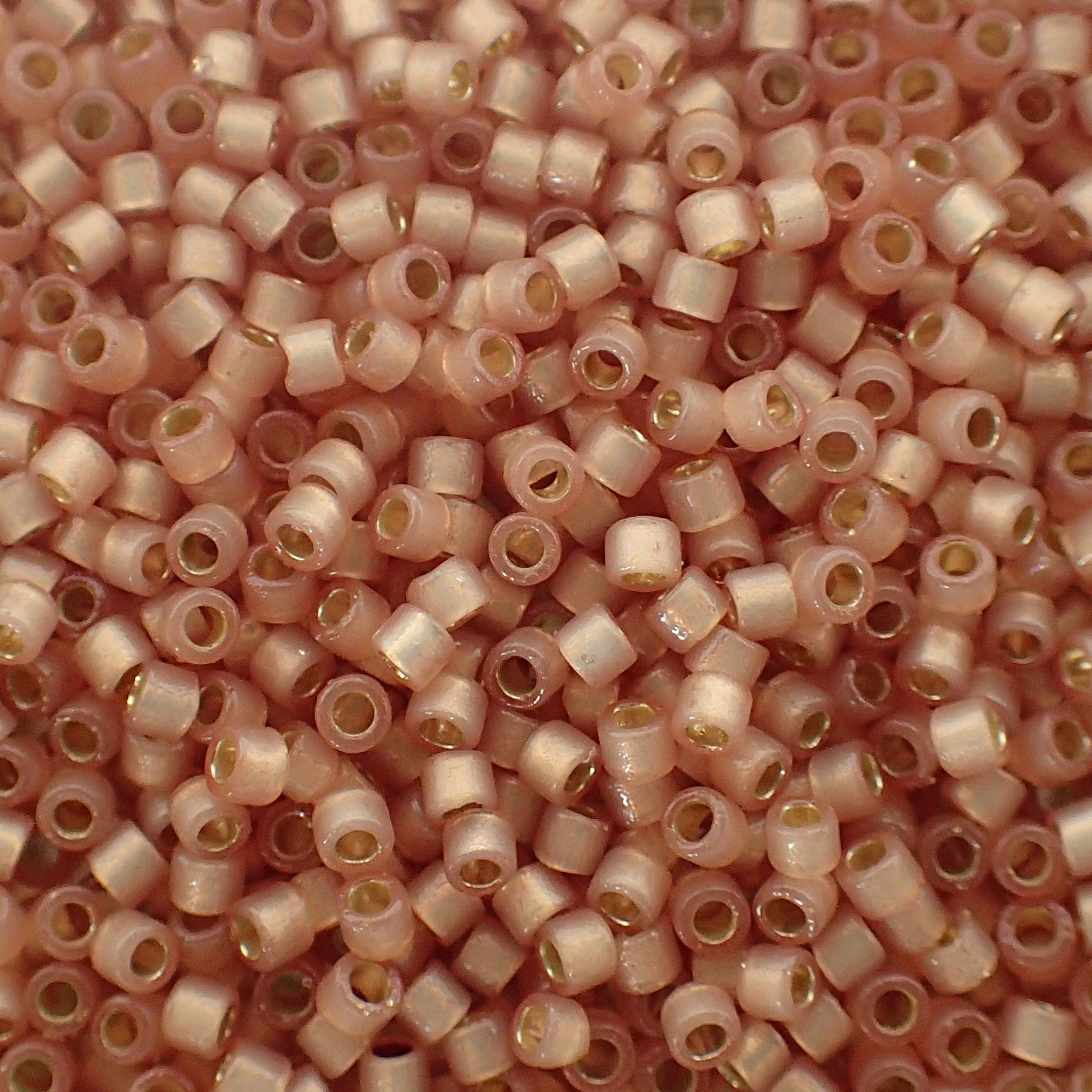 Delica 11 - Perle de verre - Doré givré - argenté  - Mica (4 g)