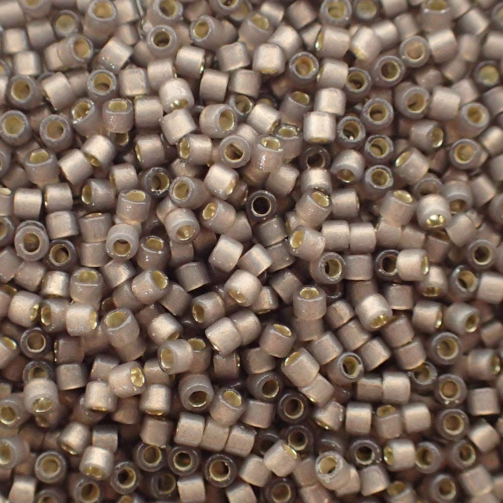 Delica 11 - Perle de verre Duracoat - Gris - Beige givré - Ronce (4 g)