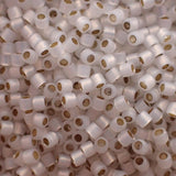  Delica 10 - Perle de verre - Blanc doré opale (4 g)