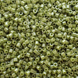 Delica 15 - Op Cactus Luster (4 g)