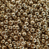 Rocaille Miyuki 11 - Argent galvanisée duracoat (4 g)