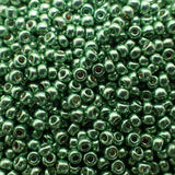 Rocaille Miyuki 11 - Vert Menthe galvanisée duracoat ( 4g )