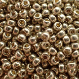 Rocaille 8 - Duracoat Argent Galvanisé (4g)