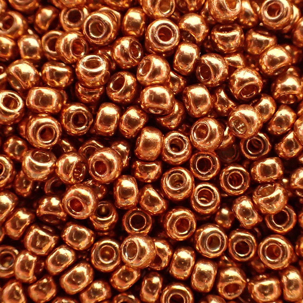 Rocaille 8 - Duracoat galvanisé Muscat (4g)