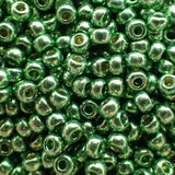 Rocaille 8 - Duracoat Galvanisé Vert Menthe Foncé (4g)