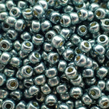 Rocaille 8 - Duracoat Galvanisé Écume de mer foncée (4g)