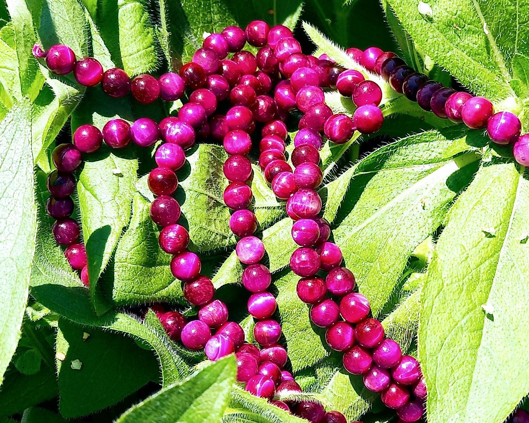 Ronde 8 - Oeil de tigre Fuchsia (10 pces)