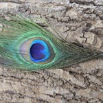 Pendentif - Plume de Paon grande (1pce)