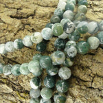 Ronde 10 -  Agate d'arbre naturelle (5 pces)