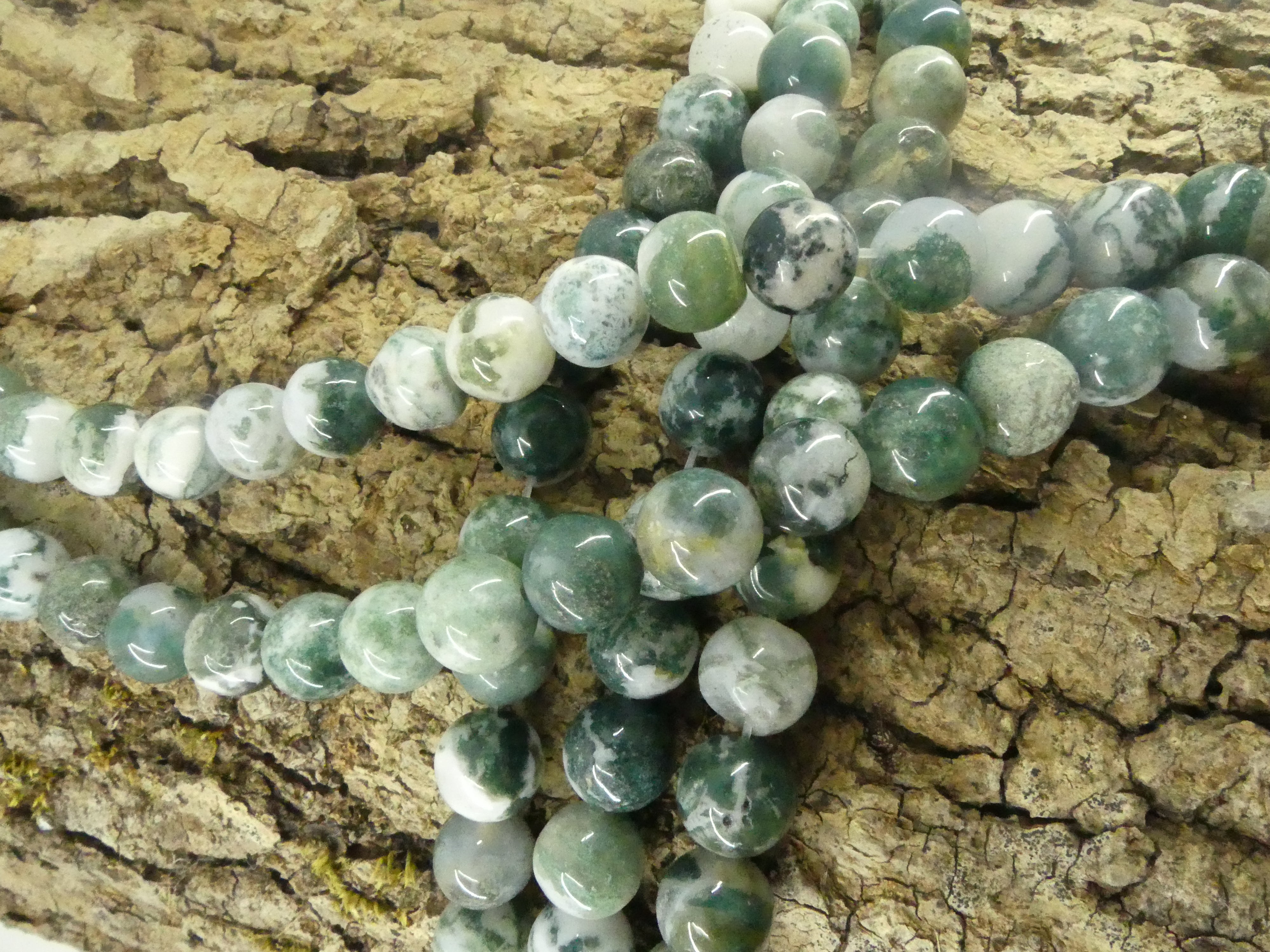 Ronde 10 -  Agate d'arbre naturelle (5 pces)