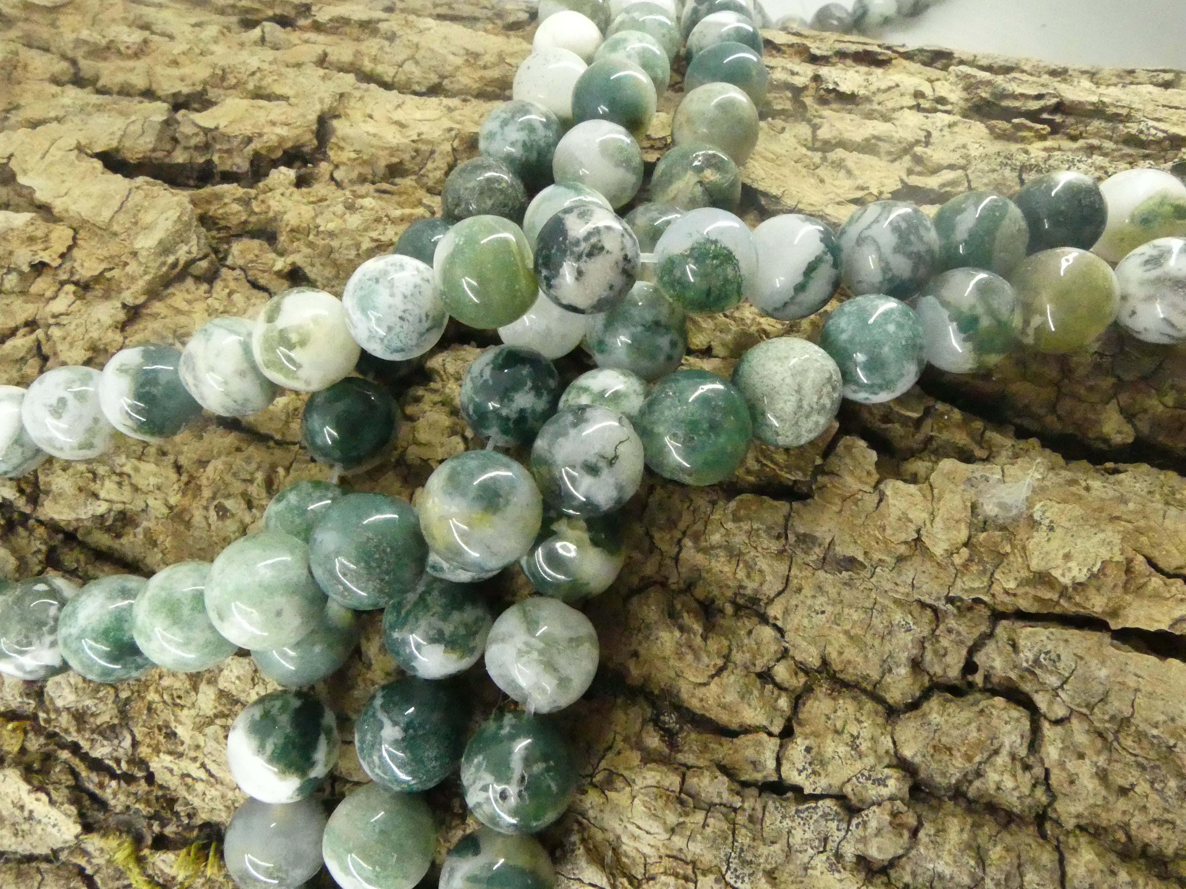 Ronde 10 -  Agate d'arbre naturelle (5 pces)