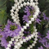 Toupie 10x8 mm - Agate toupie (5 pces)