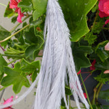 Pendentif - Plume d'autruche (1pce)