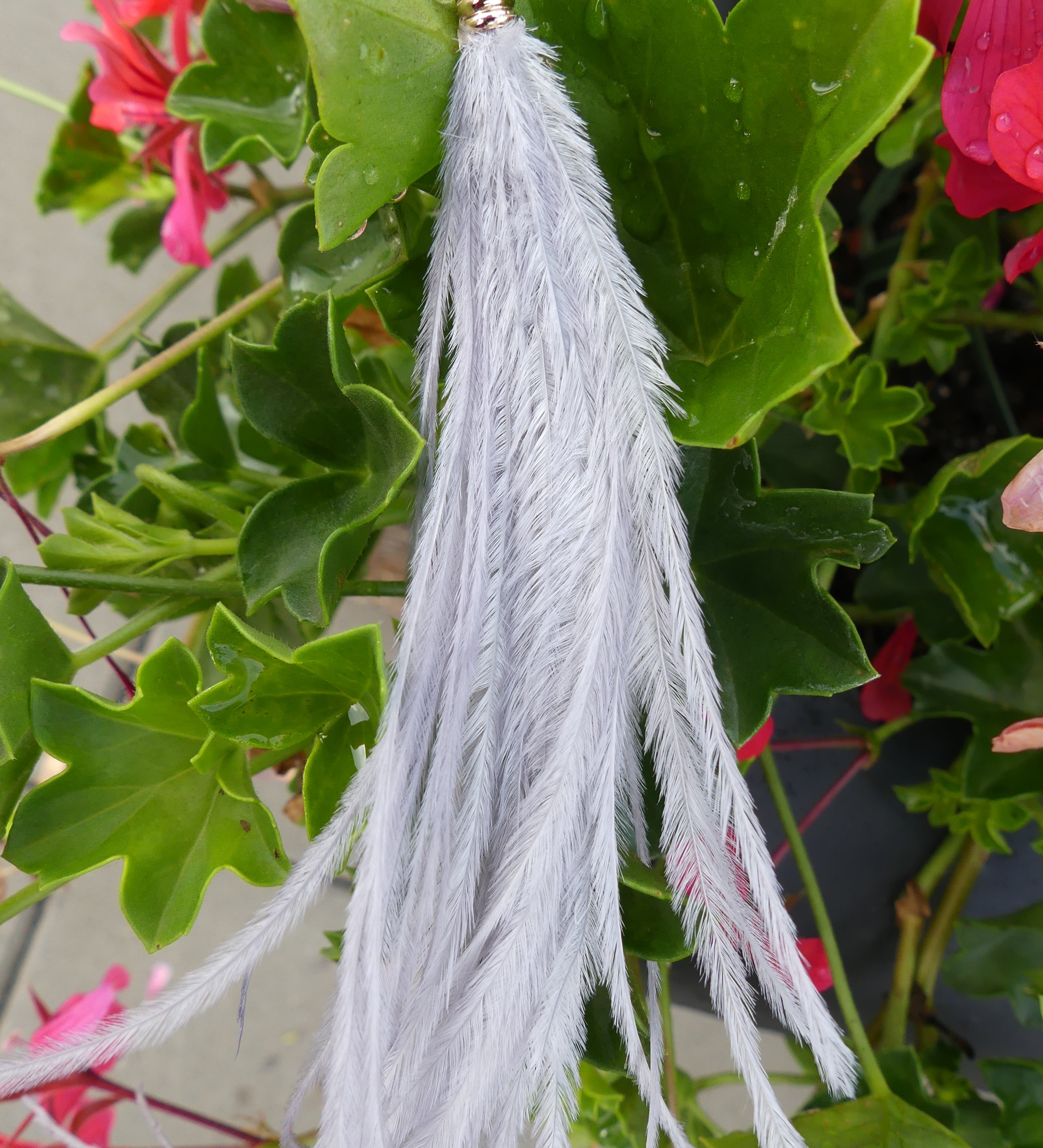 Pendentif - Plume d'autruche (1pce)