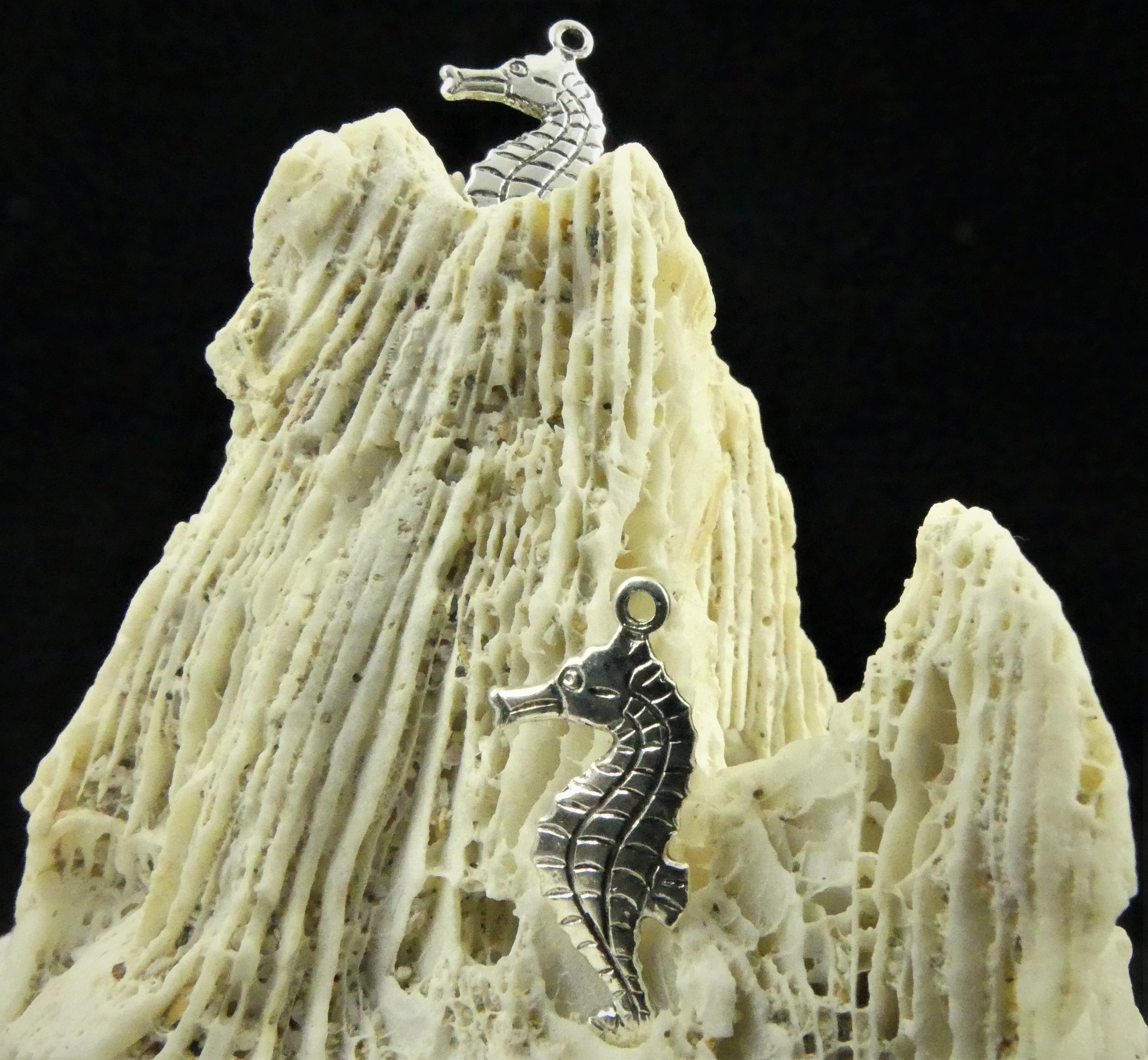 Charms - Hippocampe plaqué argent (1 pce) 