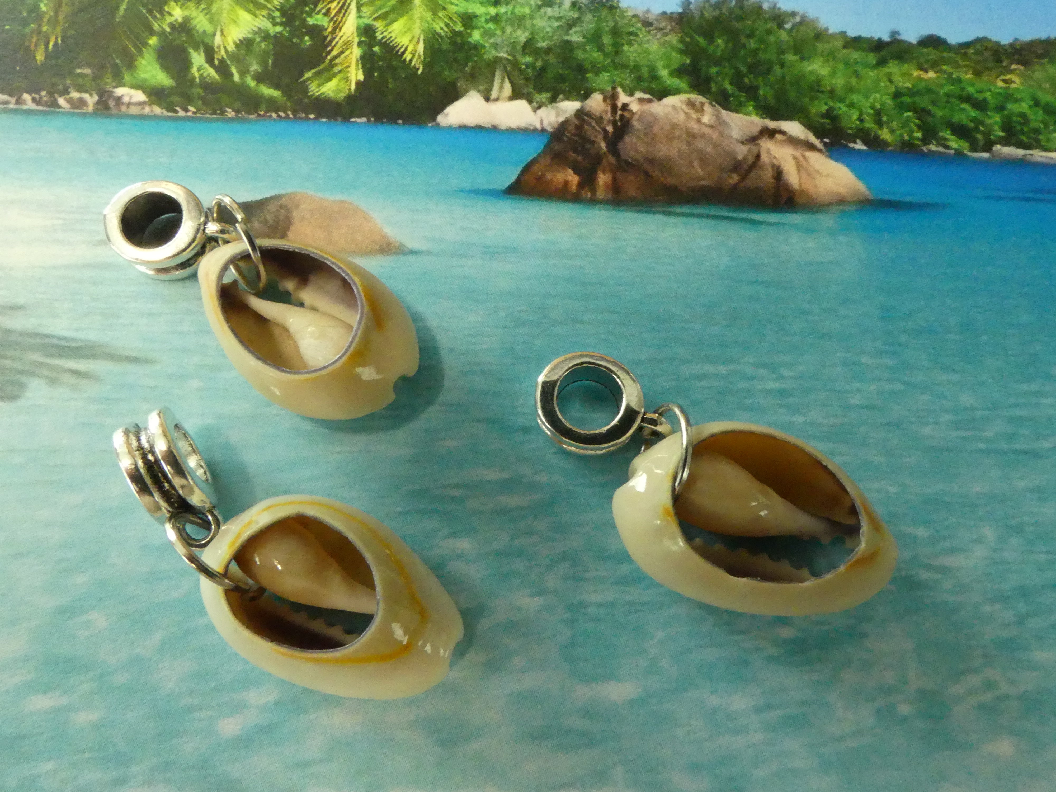 Perle de coquillage (1 pce)