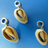 Perle de coquillage (1 pce)