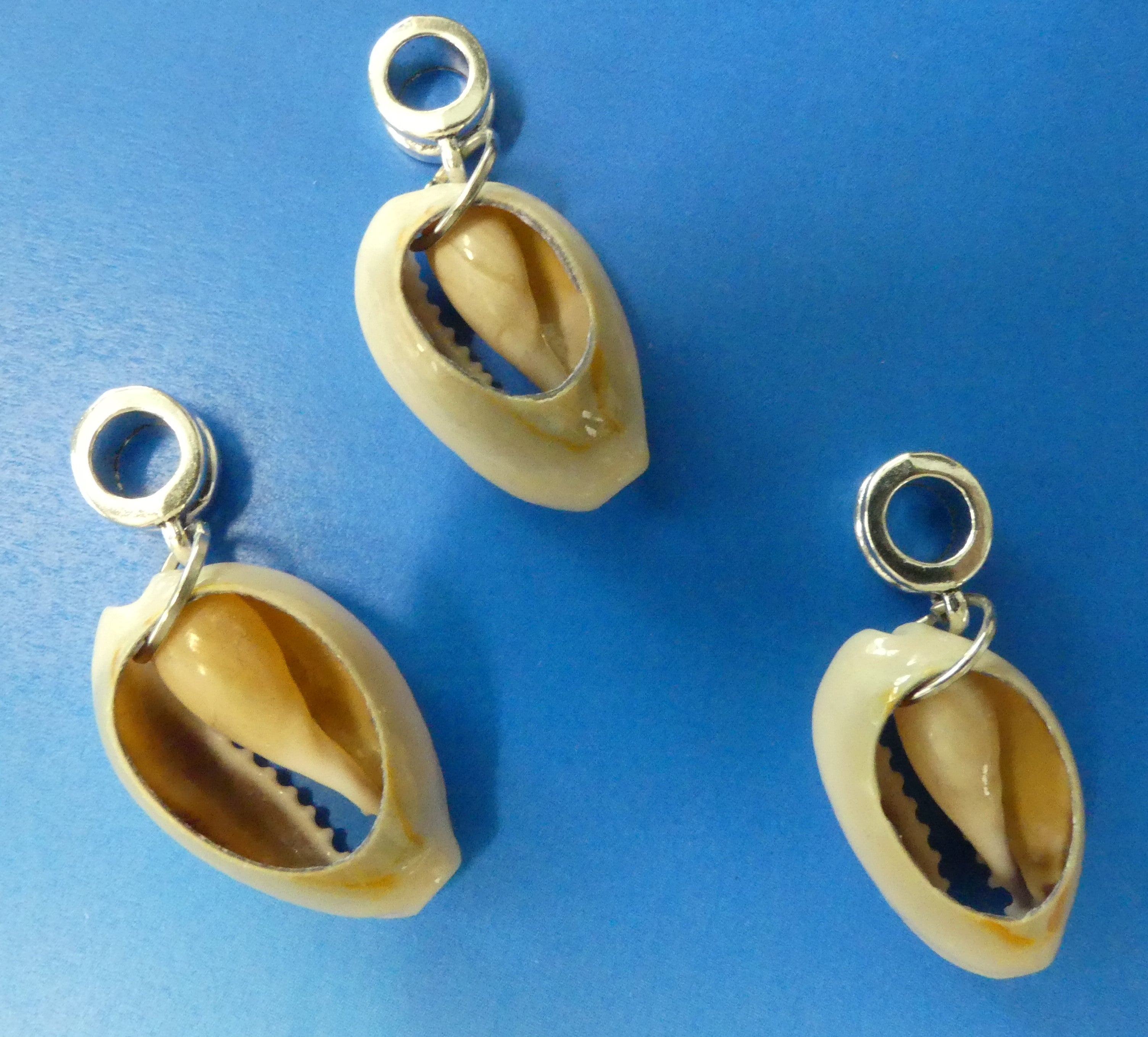 Perle de coquillage (1 pce)