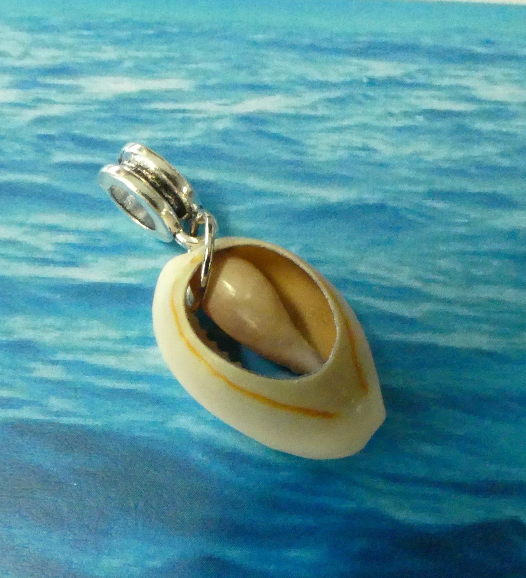 Perle de coquillage (1 pce)