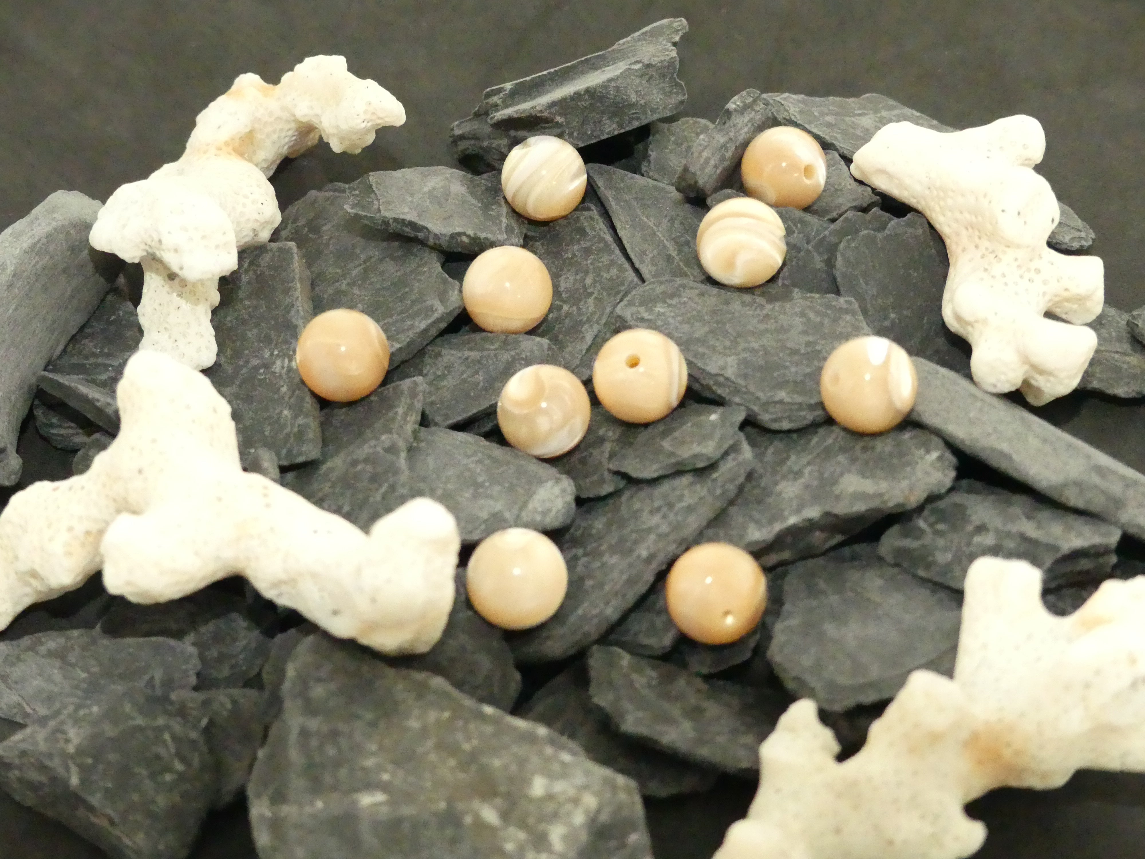 Ronde 10 - Bénitier coquillage (5 pces)