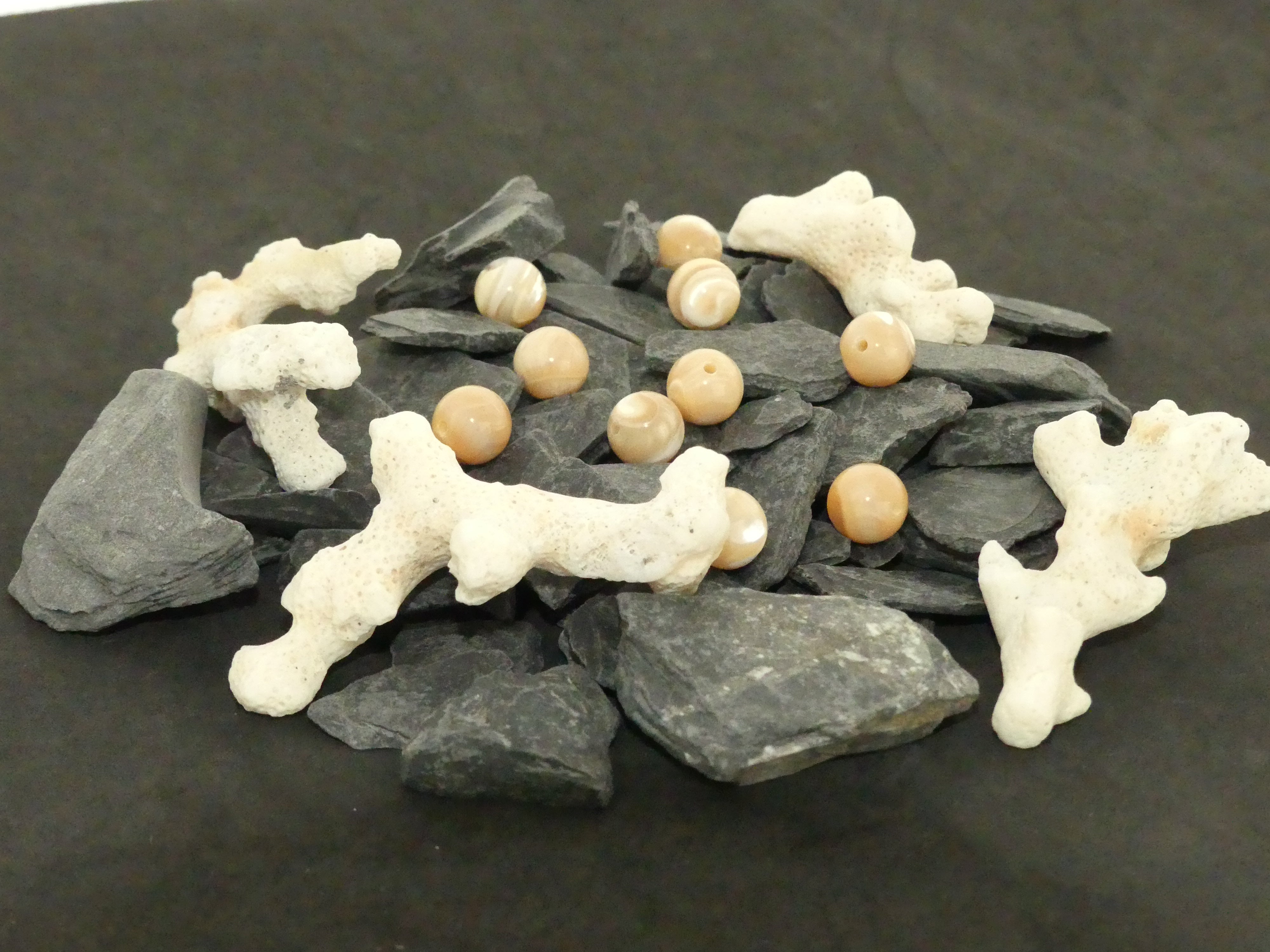 Ronde 10 - Bénitier coquillage (5 pces)