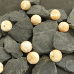 Ronde 10 - Bénitier coquillage (5 pces)