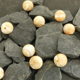 Ronde 10 - Bénitier coquillage (5 pces)