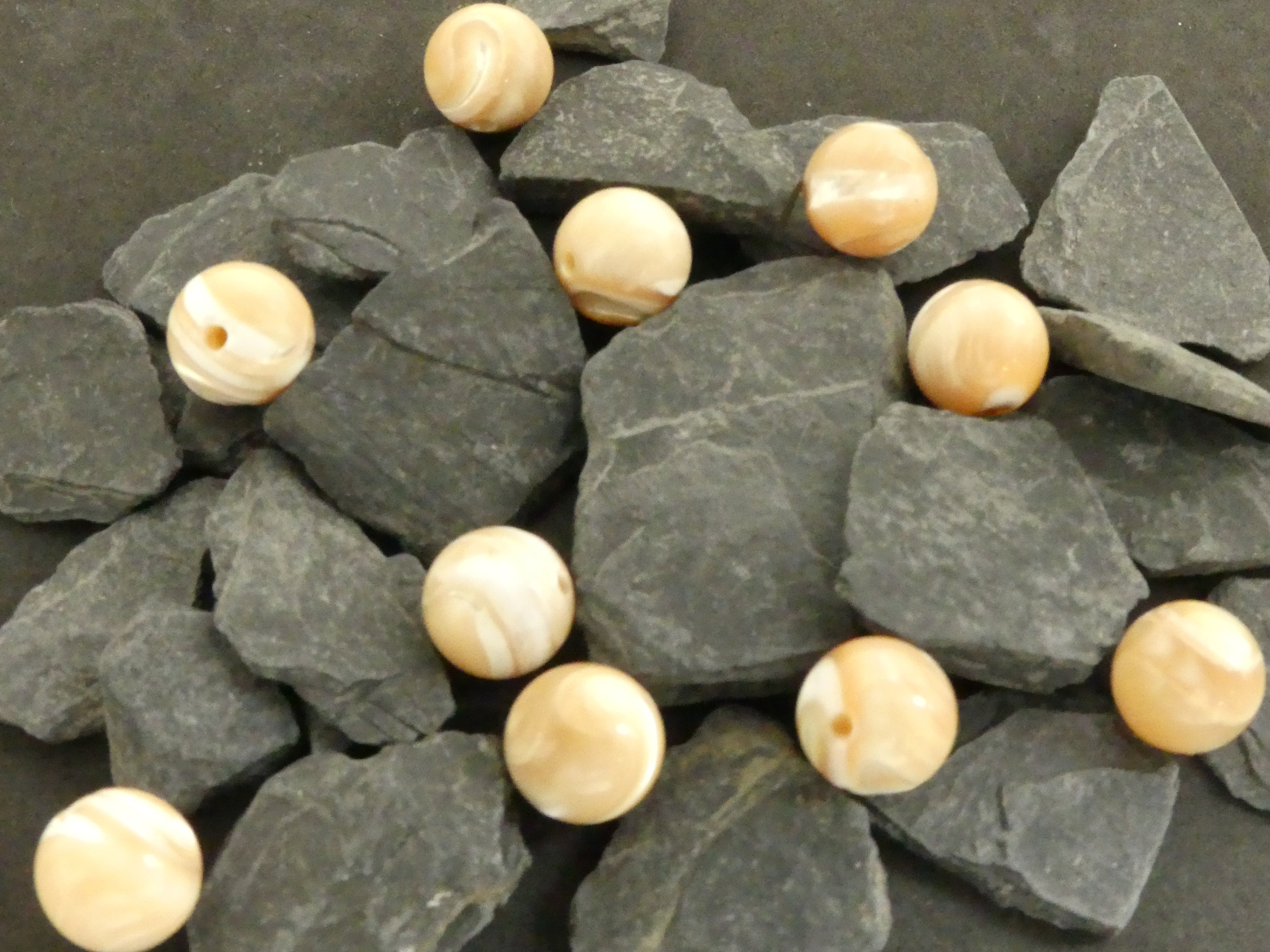 Ronde 10 - Bénitier coquillage (5 pces)