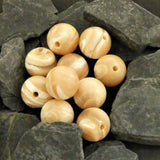 Ronde 10 - Bénitier coquillage (5 pces)