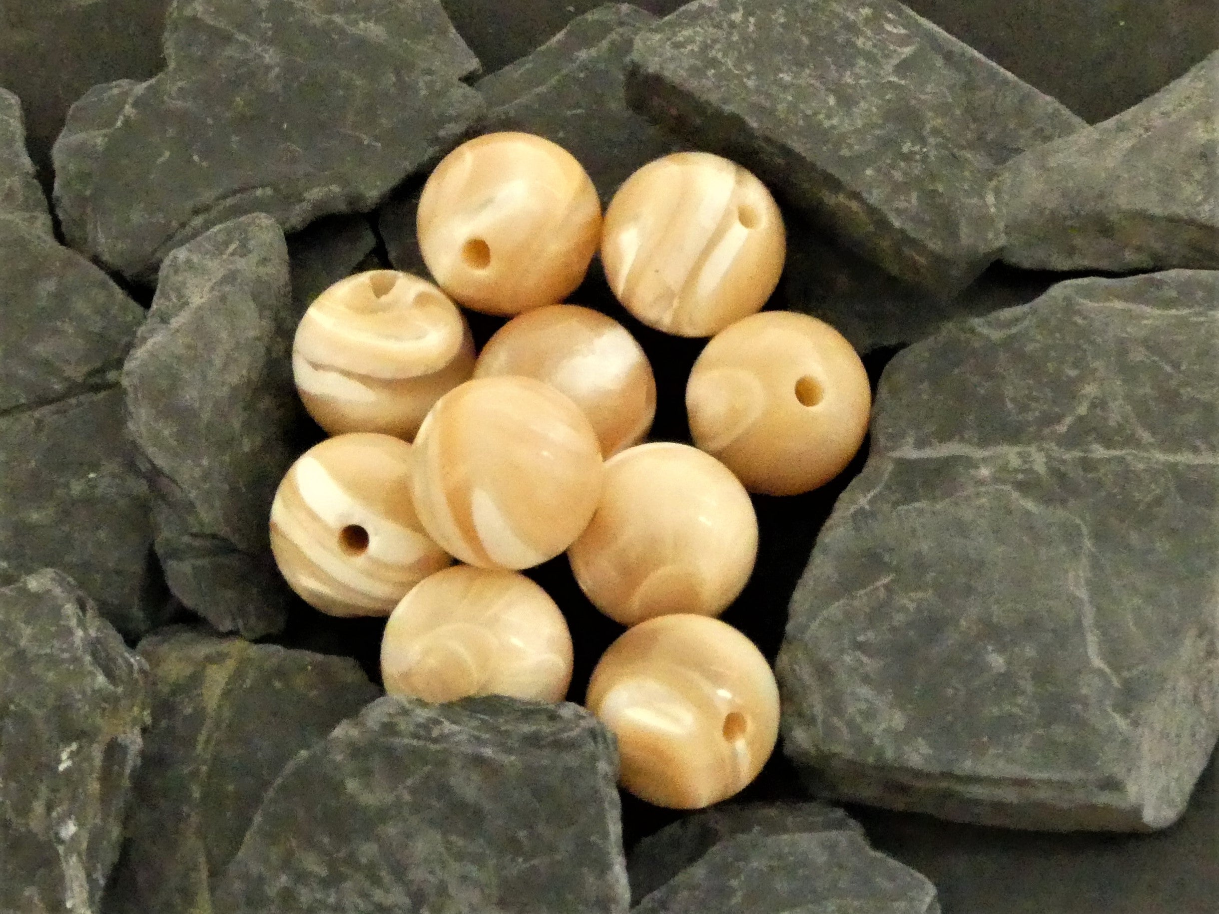 Ronde 10 - Bénitier coquillage (5 pces)