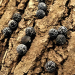 Ronde 8 - Agate naturelle efflorescente noire (10 pces)